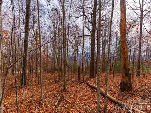 Haddington Drive, Mill Spring, NC 28756 photo 15