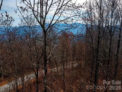 Haddington Drive, Mill Spring, NC 28756 photo 3