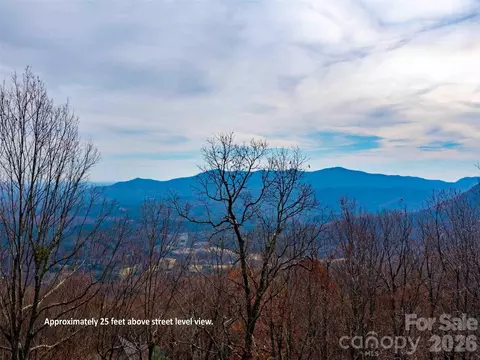 Haddington Drive, Mill Spring, NC 28756 photo 10