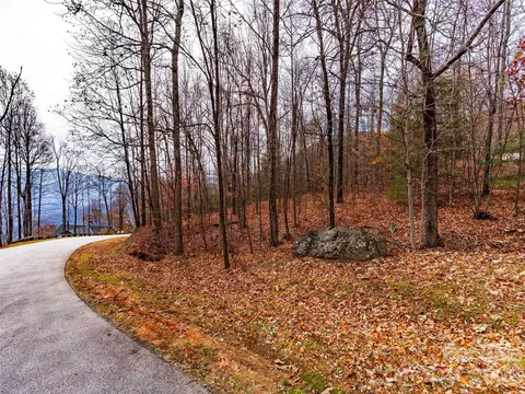Haddington Drive, Mill Spring, NC 28756 photo 16