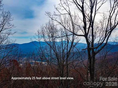 Haddington Drive, Mill Spring, NC 28756 photo 8