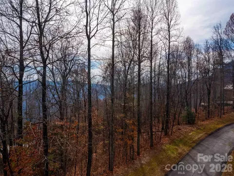Haddington Drive, Mill Spring, NC 28756
