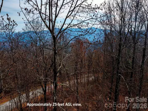Haddington Drive, Mill Spring, NC 28756 photo 2