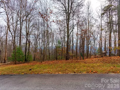 Haddington Drive, Mill Spring, NC 28756 photo 14