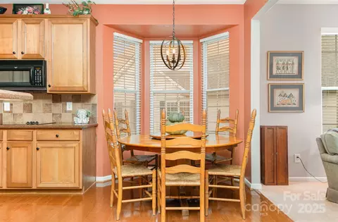 253 Garnet Ct, Fort Mill, SC 29708 photo 21