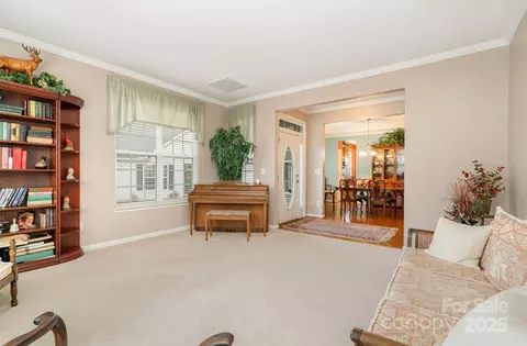 253 Garnet Ct, Fort Mill, SC 29708 photo 18