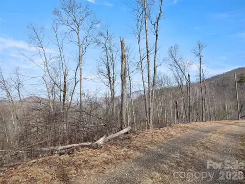 Ridge Runner Road, Burnsville, NC 28714