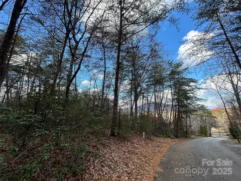 0 Raleigh 2 Dr #2, Lake Lure, NC 28746