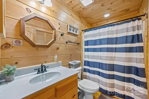 Bath - 749 Henry Thompson Rd, Tryon, NC 28782 photo 4 of 4