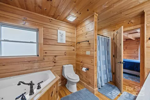 Bath - 749 Henry Thompson Rd, Tryon, NC 28782 photo 3 of 4