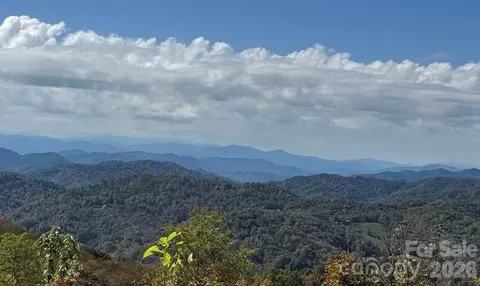 50 Scenic Wolf Ridge Rd, Mars Hill, NC 28754