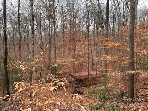 Other - 629 Vineyard Rd, Tryon, NC 28782 photo 4 of 8