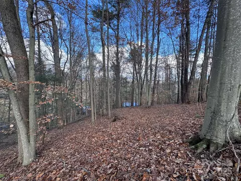 Webb Drive, Marshall, NC 28753 photo 16