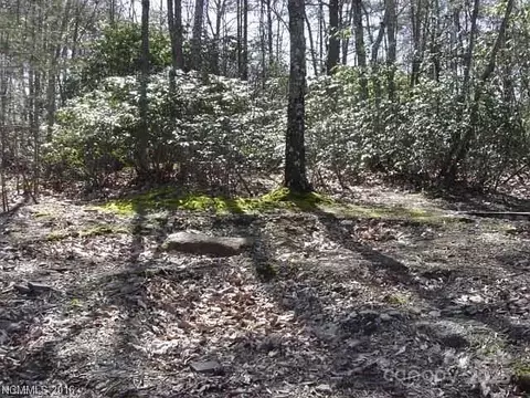 91 Old Forge Dr, Bostic, NC 28018