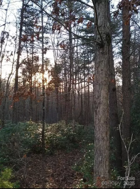 91 Old Forge Dr, Bostic, NC 28018 photo 15