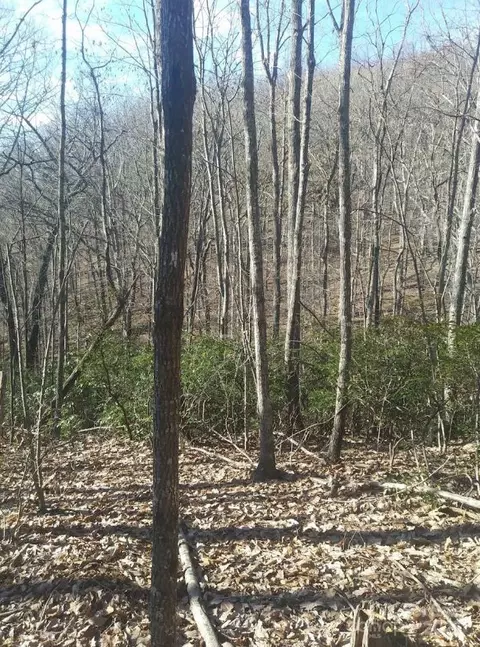 91 Old Forge Dr, Bostic, NC 28018 photo 11
