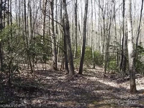 91 Old Forge Dr, Bostic, NC 28018 photo 2