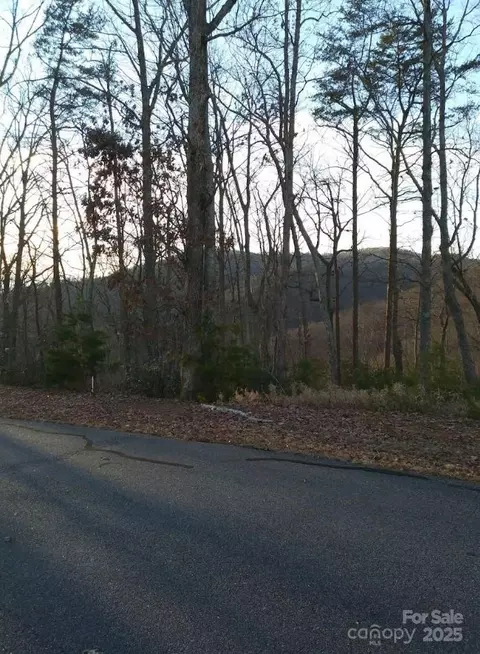 91 Old Forge Dr, Bostic, NC 28018 photo 16