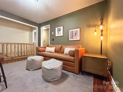 114 Spruce Hollow Rd, Beech Mountain, NC 28604 photo 24