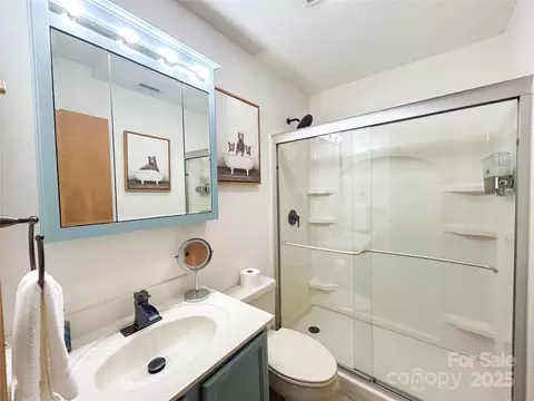 114 Spruce Hollow Rd, Beech Mountain, NC 28604 photo 28