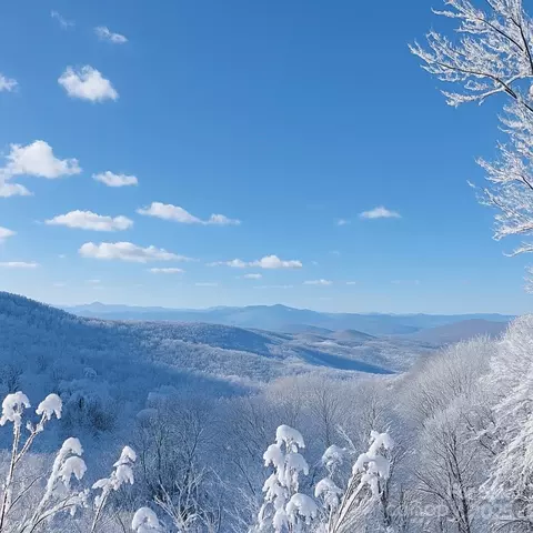 114 Spruce Hollow Rd, Beech Mountain, NC 28604 photo 43