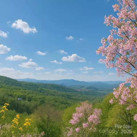 114 Spruce Hollow Rd, Beech Mountain, NC 28604 photo 42
