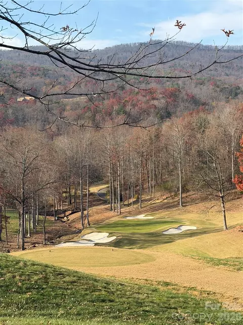 99999 Chestertown Dr, Mill Spring, NC 28756