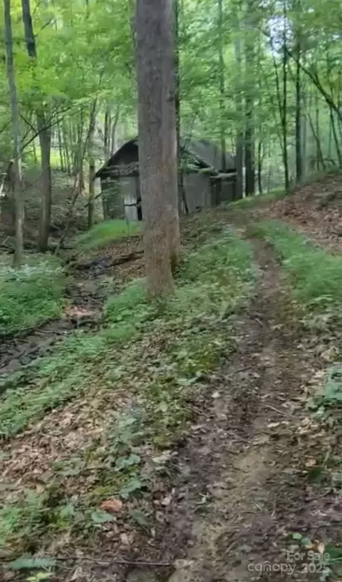 295 Bennett Branch Rd, Green Mountain, NC 28740