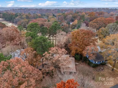 16144 Tana Tea Cir, Tega Cay, SC 29708 photo 33