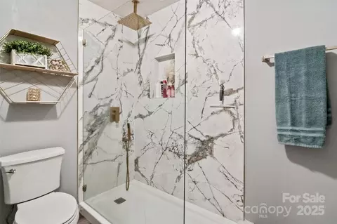 16144 Tana Tea Cir, Tega Cay, SC 29708 photo 19