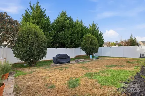 Other - 10913 Tailwater St, Davidson, NC 28036 photo 23 of 23