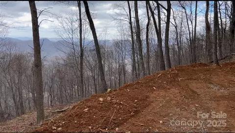 Andrew Banks Road, Burnsville, NC 28714