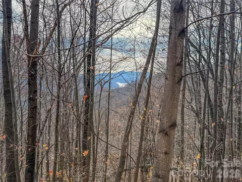 Rolling Ridge Trail, Lake Lure, NC 28746
