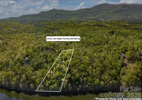 60 Lake Adger Road #60, Mill Spring, NC 28756