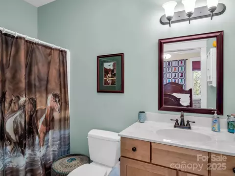 Bath - 765 Higher Path, Saluda, NC 28773 photo 6 of 6