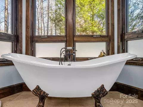 Bath - 765 Higher Path, Saluda, NC 28773 photo 3 of 6