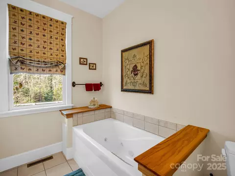 Bath - 765 Higher Path, Saluda, NC 28773 photo 4 of 6
