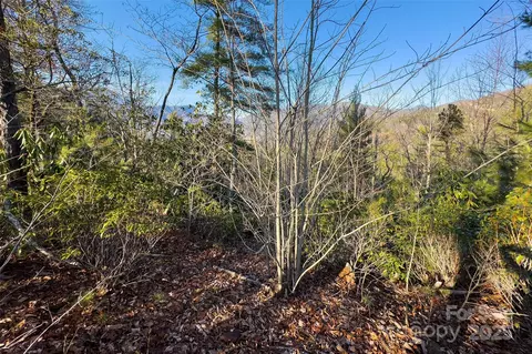 Fox Ridge Trail, Marion, NC 28752 photo 21