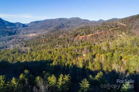 Fox Ridge Trail, Marion, NC 28752 photo 23