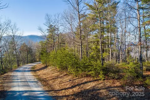 Fox Ridge Trail, Marion, NC 28752 photo 6