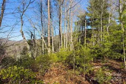 Fox Ridge Trail, Marion, NC 28752 photo 16