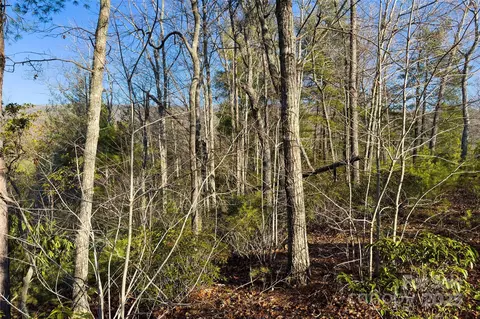 Fox Ridge Trail, Marion, NC 28752 photo 19