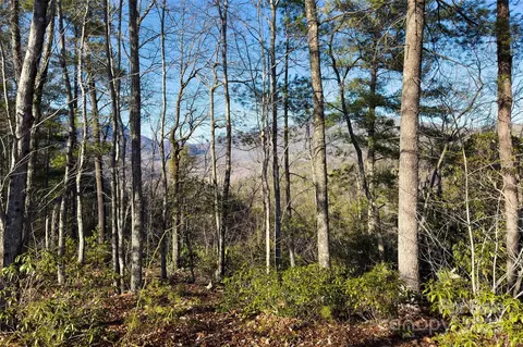 Fox Ridge Trail, Marion, NC 28752 photo 17