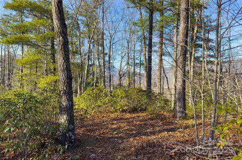 Fox Ridge Trail, Marion, NC 28752 photo 15