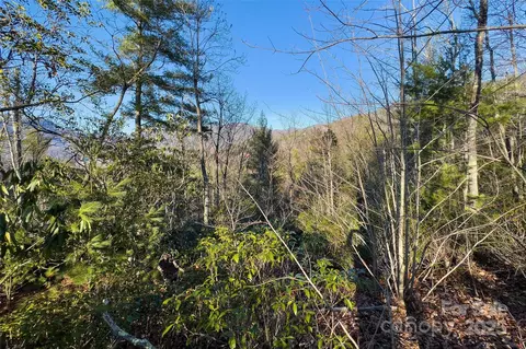 Fox Ridge Trail, Marion, NC 28752 photo 20