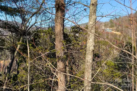 Fox Ridge Trail, Marion, NC 28752 photo 18