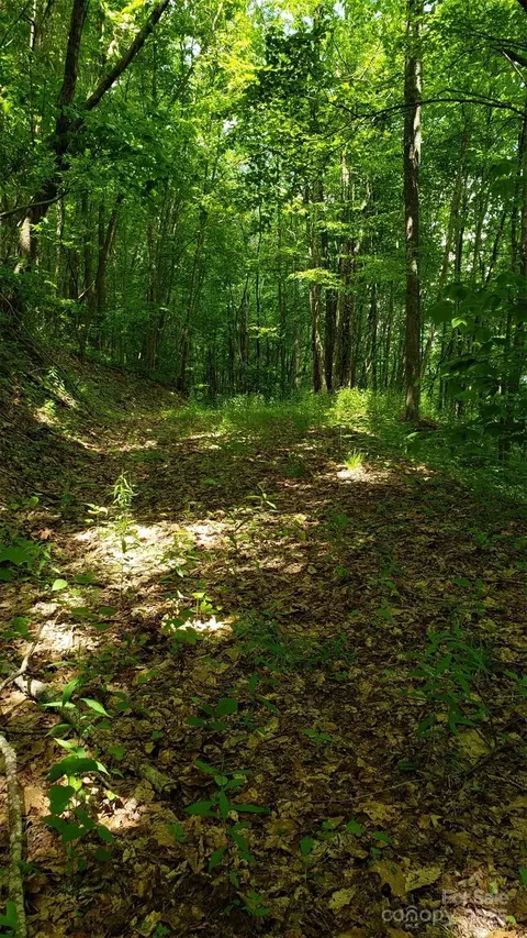 1111 E Clubhouse Rd, Sylva, NC 28779