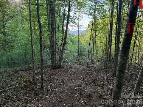 West Legacy 6 Drive #6, Hendersonville, NC 28739