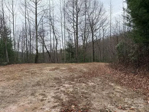 Casey Mountain 218 Road #218, Purlear, NC 28665 photo 14