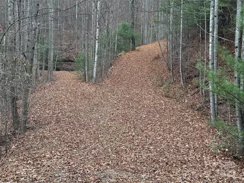 Casey Mountain 218 Road #218, Purlear, NC 28665 photo 22